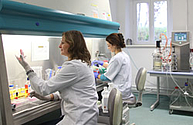 zwei junge Frauen arbeiten im Labor im Institut für Mikrobiologie der Uniklinik Rostock